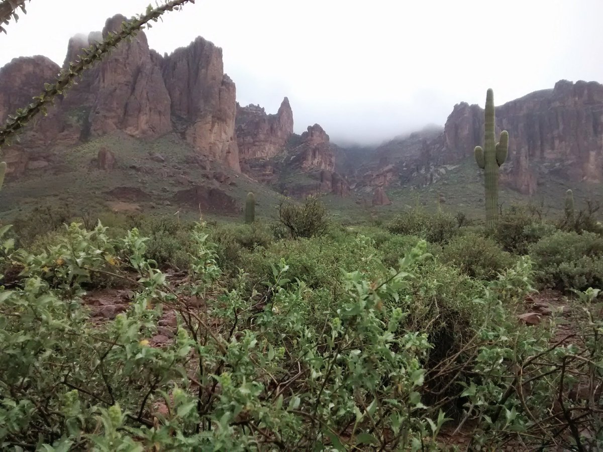 It's been a magical season in #Superstitionmountains