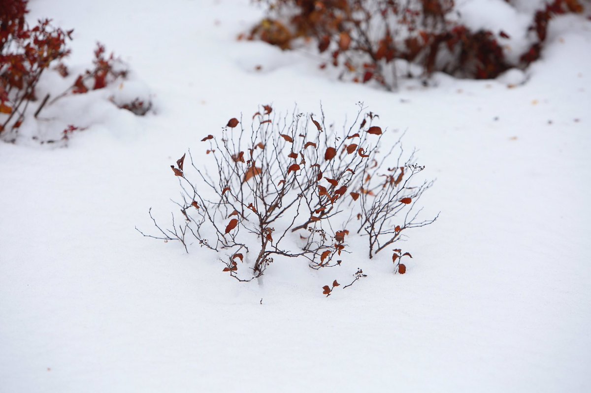 Keep smiling, life is beautiful! #beautiful #life #winter #spring