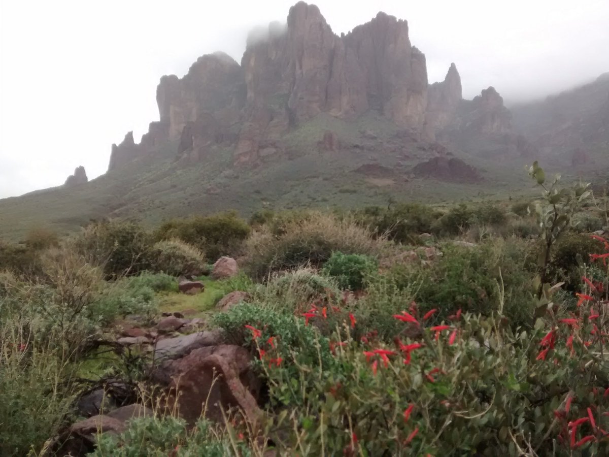 #Superstitionmountain, #Hiking, #HikeAz