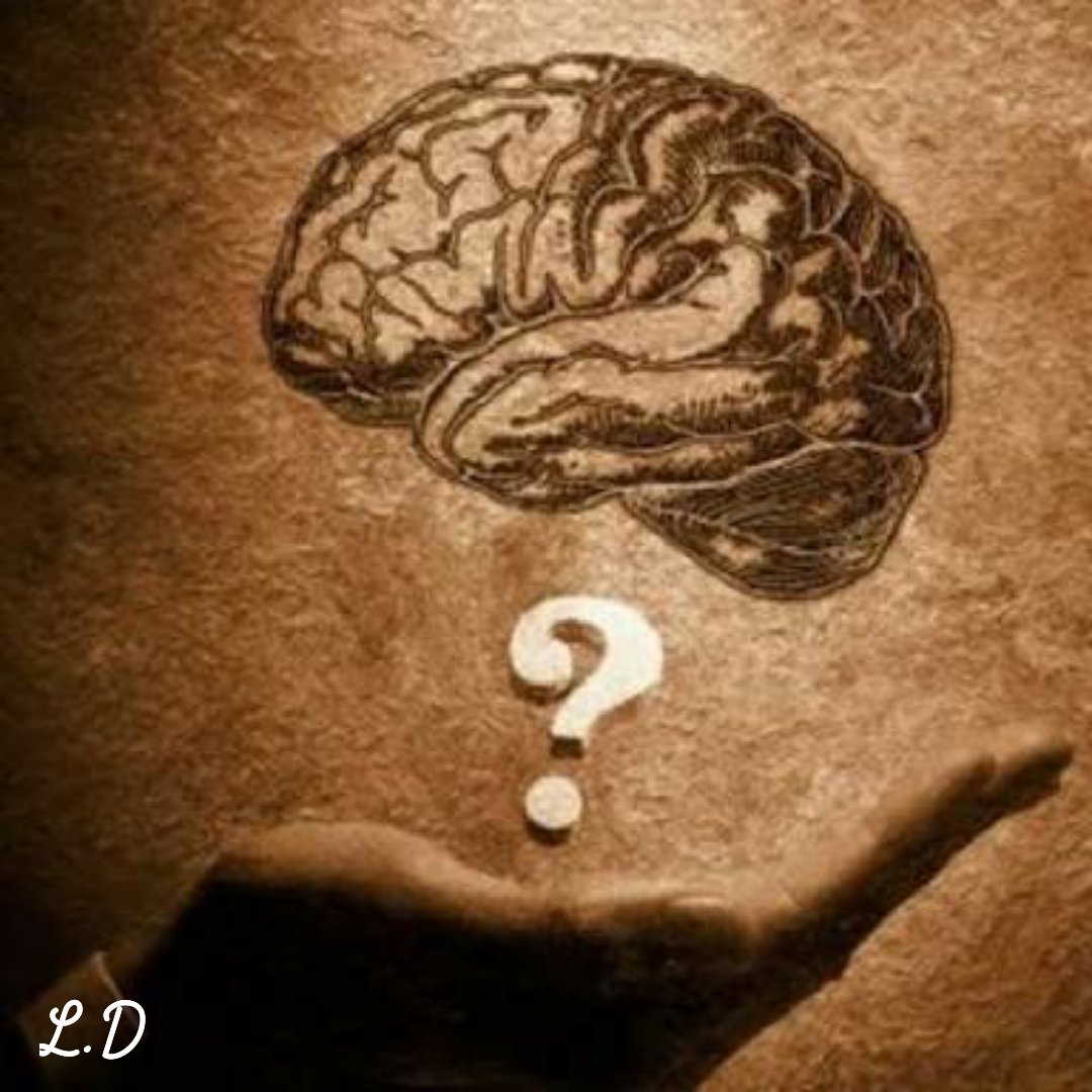 Bu çağda öğrendiğimiz her yeni bilgi,
O bilginin beynimizle kalbimiz arasındaki İmtihanıdır.
Ya sadece öğrenmiş olacağız Yada yaşayacağız..