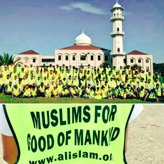 View image on Twitter