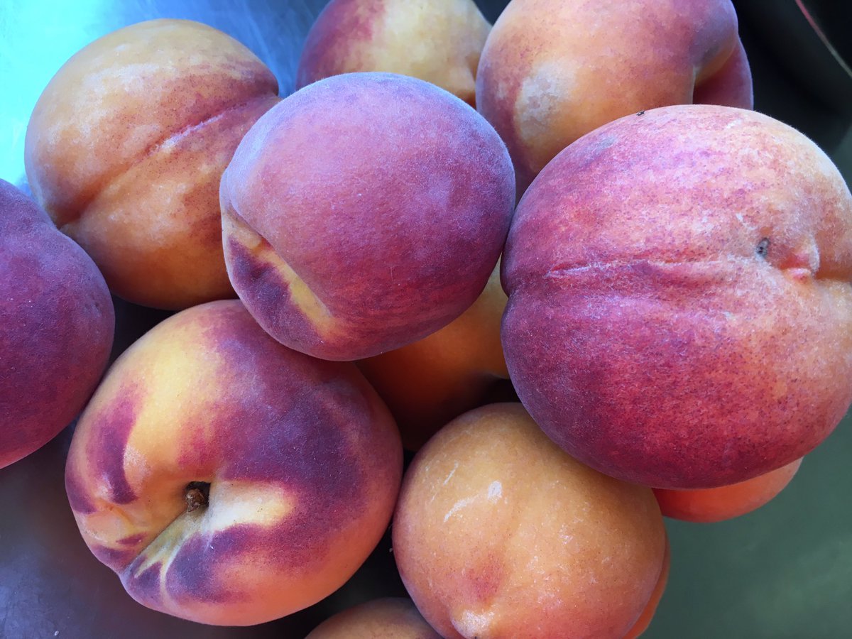 FastFreshTasty's tweet image. These exquisite peacherines are from a family orchard 2 blocks back from Main St #greytown. #todoefor #slurp #eatlocal