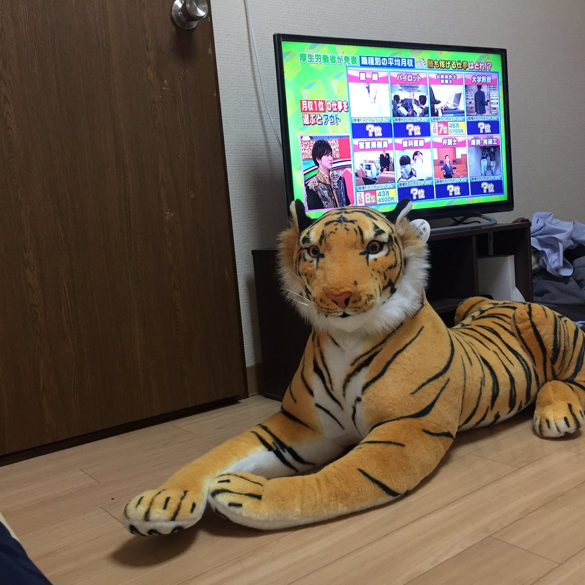 y000oo's tweet photo. 朝起きたらいました https://t.co/hblOXojTWI