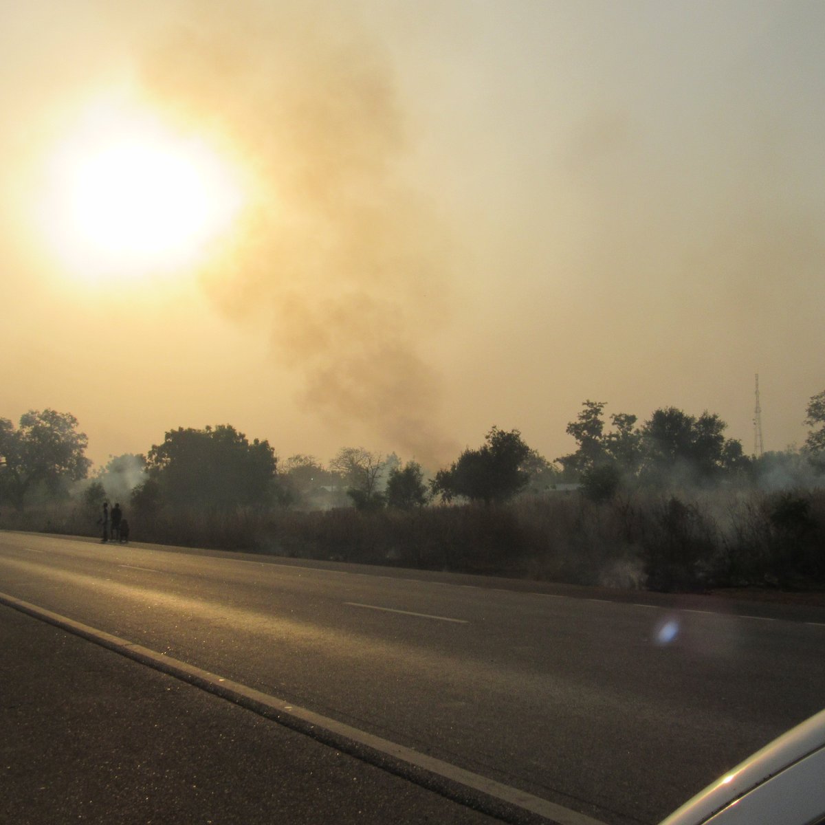 Esther Ekua Amoako tweet media