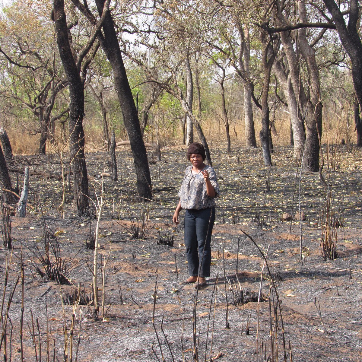 Esther Ekua Amoako tweet media