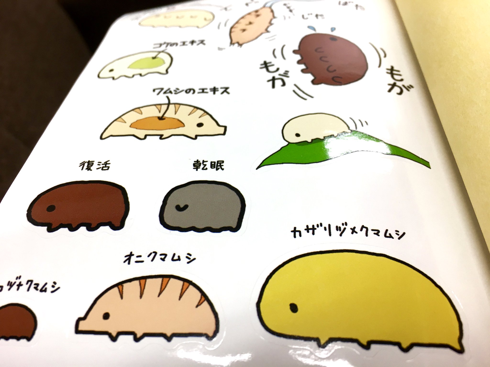 クマムシ博士 On Twitter クマムシ博士のクマムシへんてこ最強伝説 イラストも自分で描いているのだけれど そう認知されていない場合が多いことに気づいた アピール不足だったかも なおカラーリングなどはsakiさん Saki347 9625 が担当