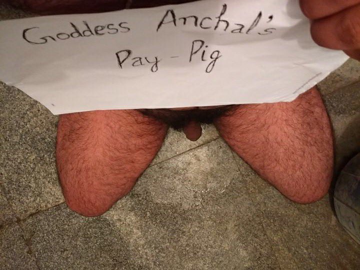 misstoxicvenom's tweet photo. When u break a pay pig &amp; make them open wallets for your pleasure @MsC_RTbitch @irt4findom @RTPiggyy @RTPromo2 @rt_slave_ @RT4FD @BestFindom https://t.co/LwJNX7jLtL