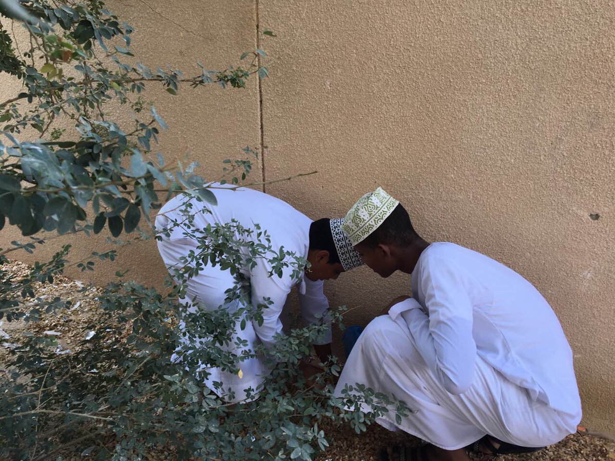 تفعيل حصة الاحتياط كعمل تطوعي فيما يخص النظافة في البيئة المدرسية تحت إشراف أ. علي السعيدي