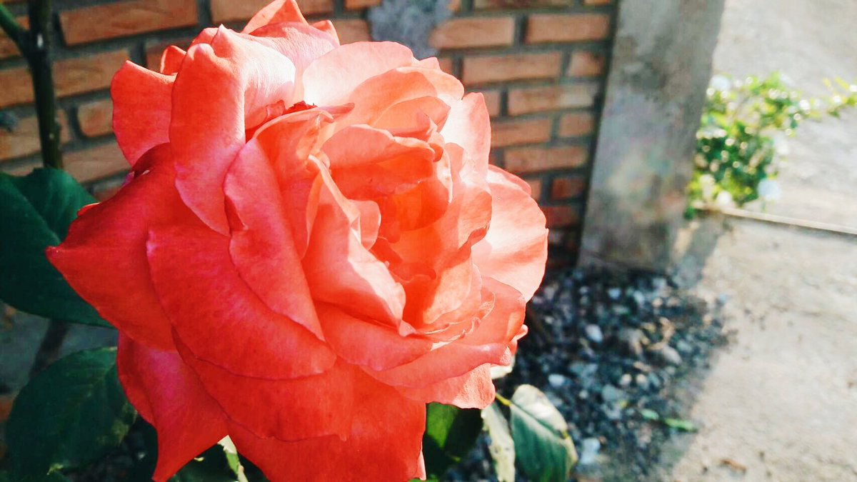 ไม่สำคัญ สำหรับเค้าแล้ว
#แคปชั่นเด็ด #แคปชั่นรักแฟน #แคปชั่นจัญไร #ที่รัก #ไม่สำคัญ #สำหรับ #เขาแล้ว