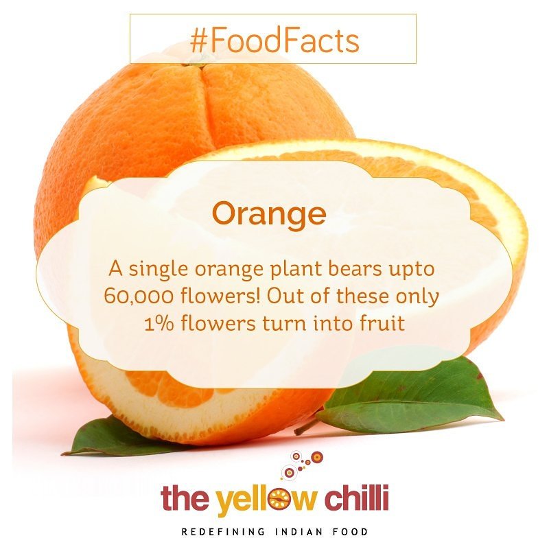 tycjpr's tweet photo. Did u know about Fruits n Flowers Ratio of #Orange
For all #FoodLovers 
 #TheYellowChilli #Jaipur 

#Delicious #Foodie #Foodtips #FoodGang https://t.co/UUjuvAff68