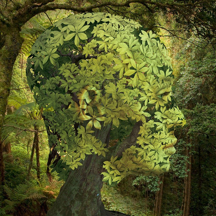 ConnectUV's tweet photo. Beauty of nature https://t.co/2Nfn2GBkZG