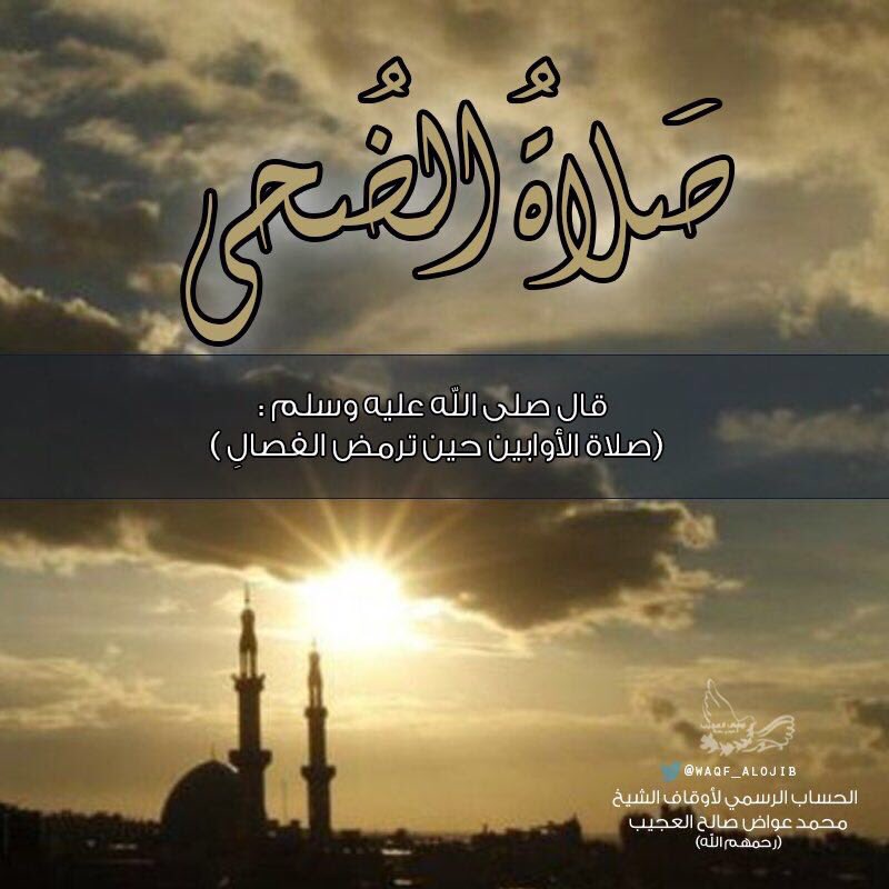#صلاة_الضحى ركعتان تجزئ عن ٣٦٠ صدقة ..