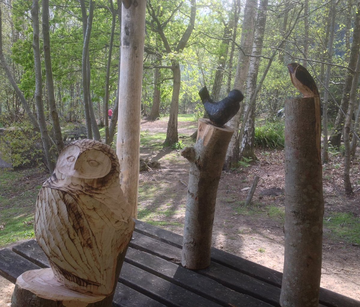 Carve your very own bird! Sculptor Martin Brockman holds his amazing course in WW on Sat 11 March. Go to WW site for info and booking. £75.