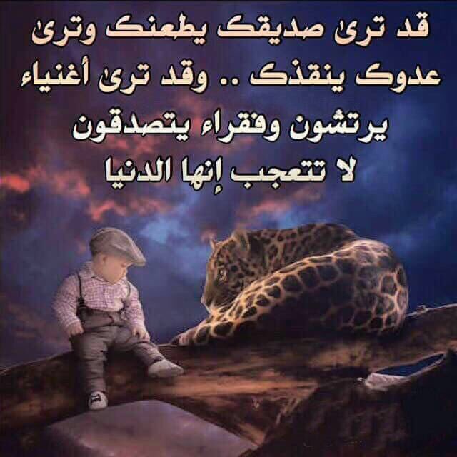 ﮼آبوعبدالعزيز ﮼الجش🇰🇼 (@alsham5_m6) on Twitter photo 