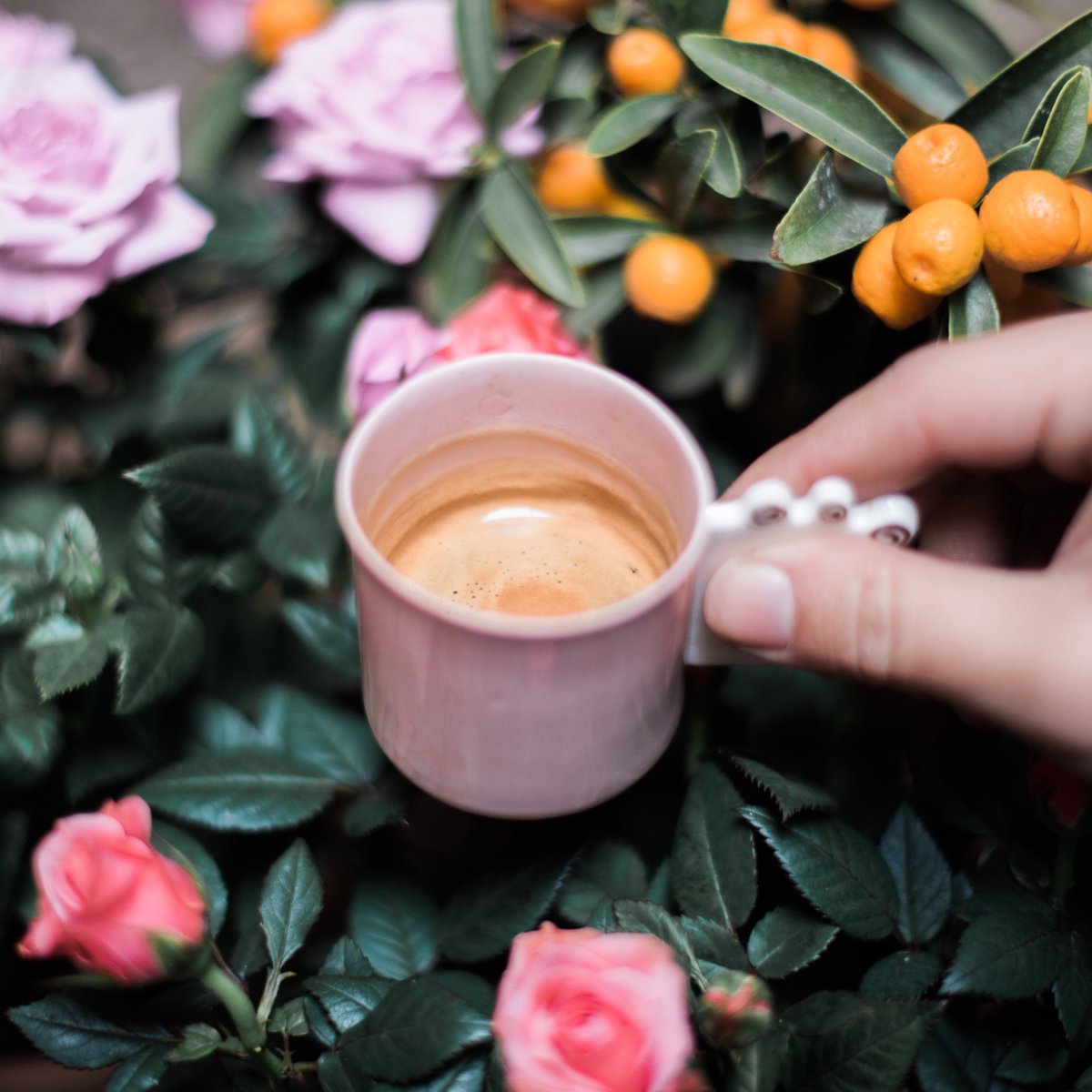 Günaydın ♥️ Mis gibi kahve kokusu eşlik etsin bu harika Pazar gününe 🌸☕️🌺🍊bywonderland.com/kahve-43