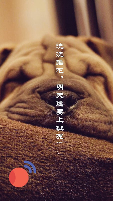 socialsummer_'s tweet image. 洗洗睡吧！