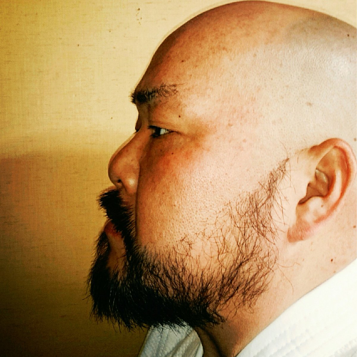 谷 充義 Mituyoshi Tani בטוויטר 訳あって横顔を撮って頂いてからの 似てる説 キングオブファイターズ チャン コーハン ありがとうございます キングオブファイターズ チャン コーハン 基本ハゲ 髭は似てる説