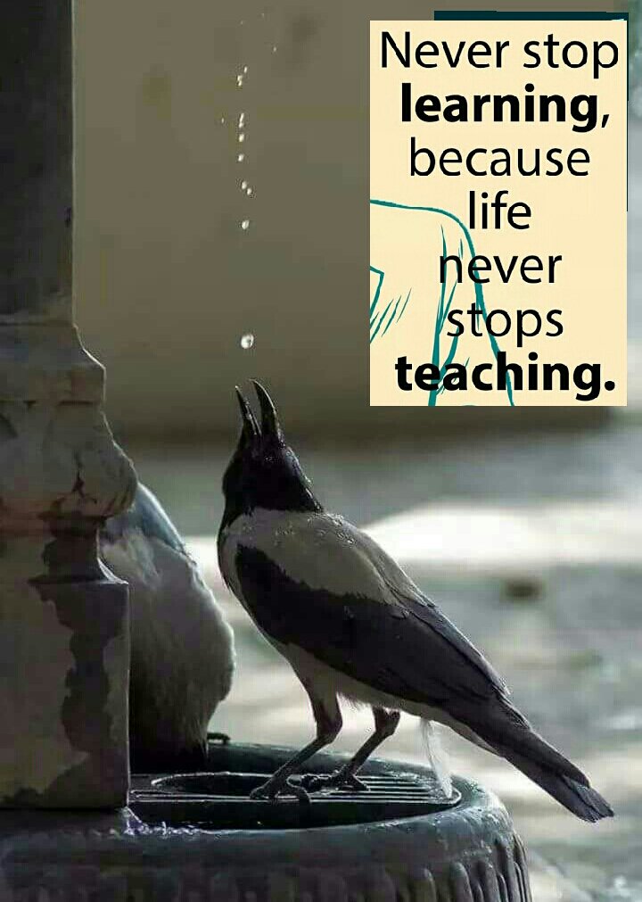 nabilajamia's tweet photo. https://t.co/r5DQDcbG4D