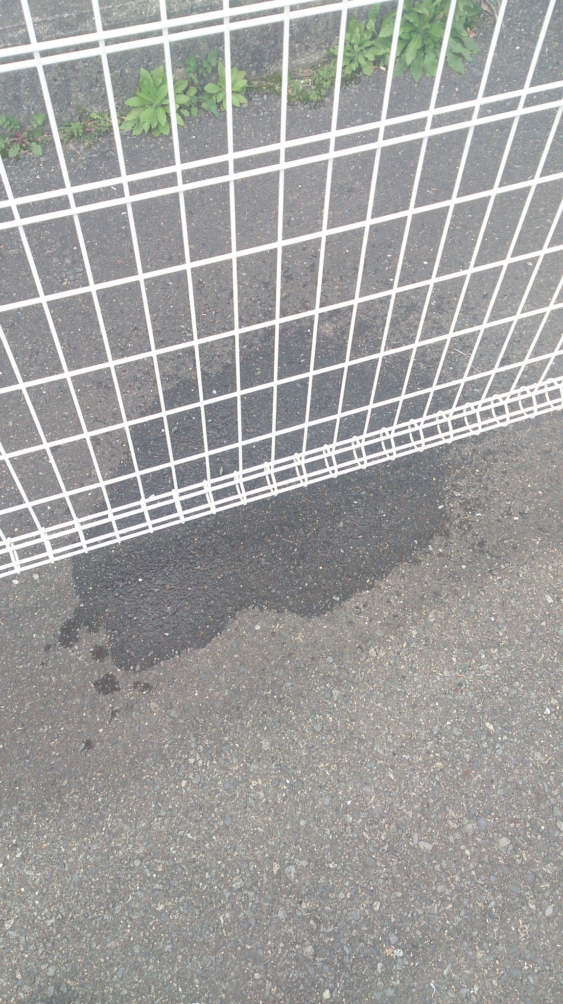 立ちション 跡 ❤️ Best adult photos at doai.tv