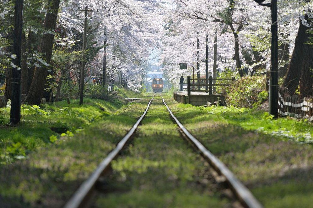 MaximilianNY's tweet image. if a train doesn't
stop at your station,
it's simply because 
it's not your train...

SLOW DOWN...
pause..
&amp;amp; breathe..(doc.)