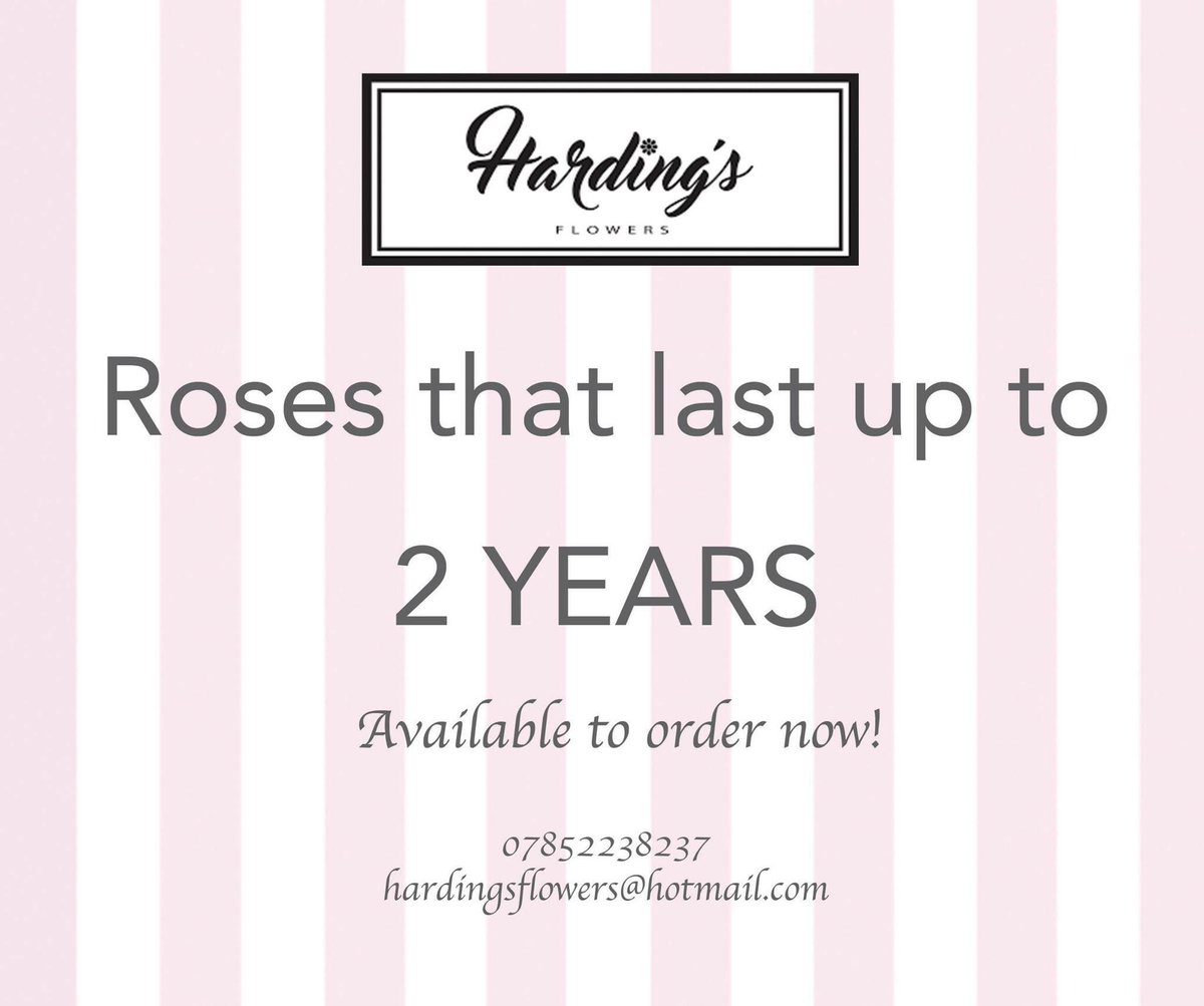 HardingFlowers's tweet image. Preserved roses (roses that last up to two years!!!) #preservedroses #hertfordshireflorist