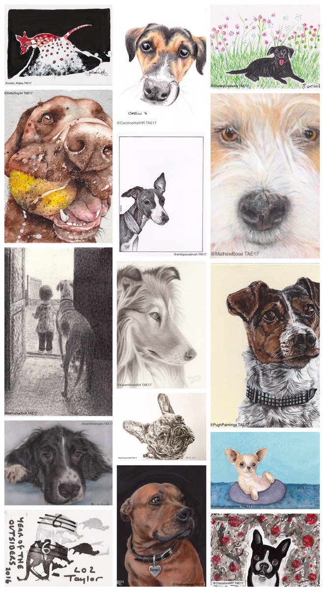 PAEartforacause's tweet image. Cats (16) v Dogs (15)! #tae17 #neckandneck #whichwillwin