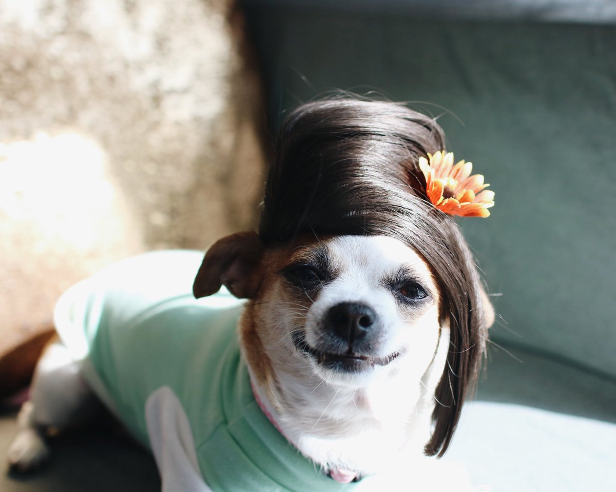 มาในบทบาทเจ้านางตองนวล #เพลิงพระนาง