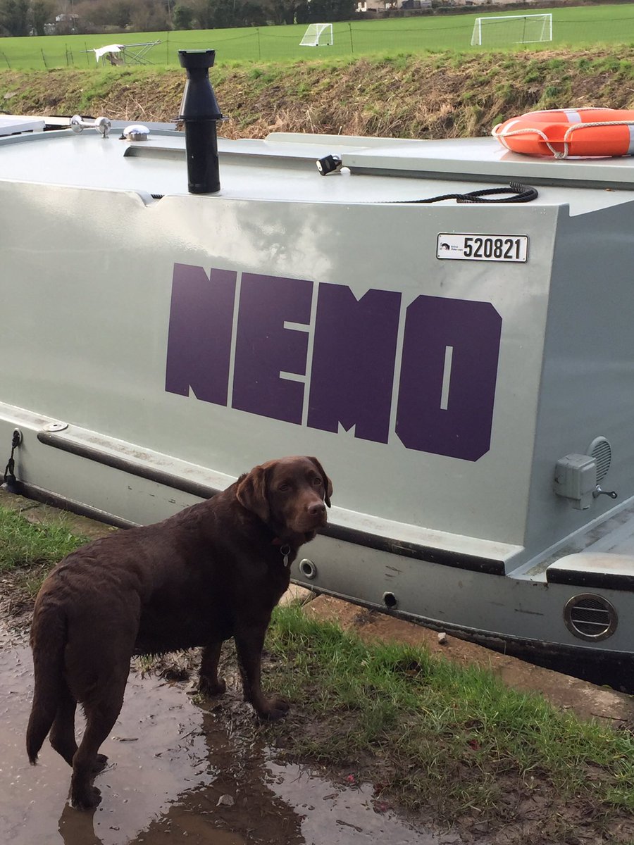 Anthony Goodwin tweet media