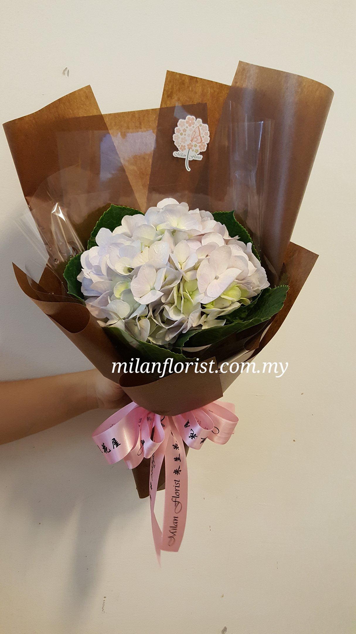 Milan Florist Auf Twitter 充满少女味的韩国迷你花束 Minibouquet 迷你花束 迷你系列 绣球花 米兰 Flower Milanstyle Tel 016 016 T Co U2ywe0ezfk T Co Seuuxx9uib Twitter