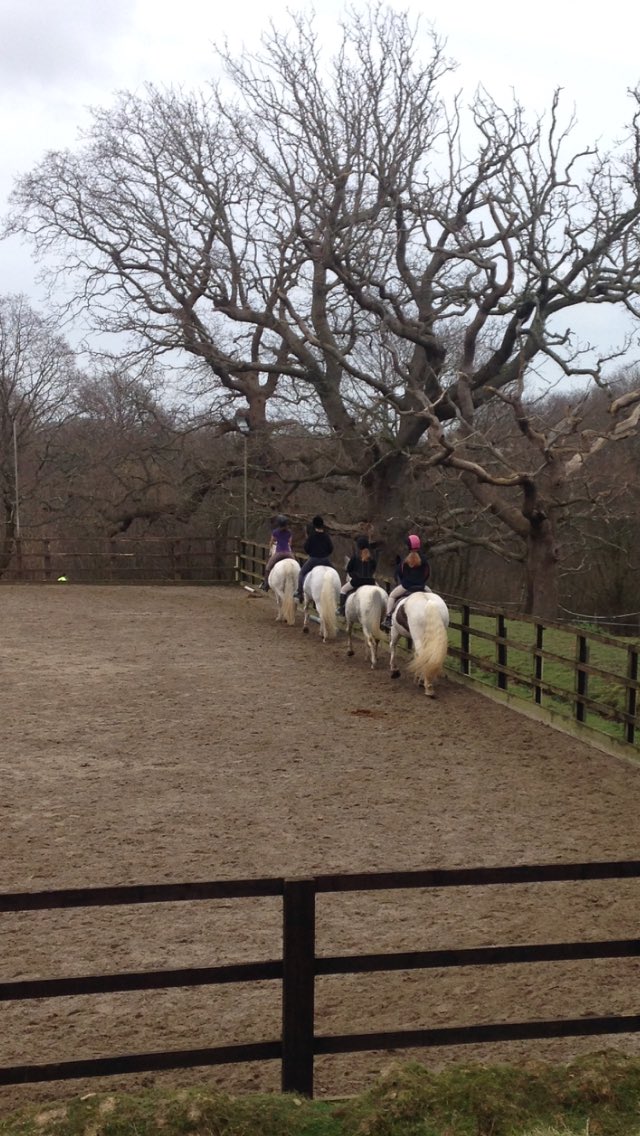 BucksHorses's tweet photo. Fantastic morning with our #SaturdayCrew yesterday polishing up their dressage skills https://t.co/LtpnqSlChd