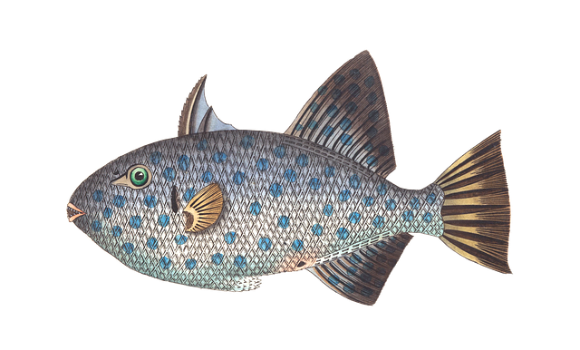 KTLChesterfield's tweet photo. Struggle to get #Fish into the kids diet? Try these ideas from @MakewithK  #MealPlanning #FamilyRecipe https://t.co/5Pn6cBVj1o https://t.co/cEeKPEtd4y