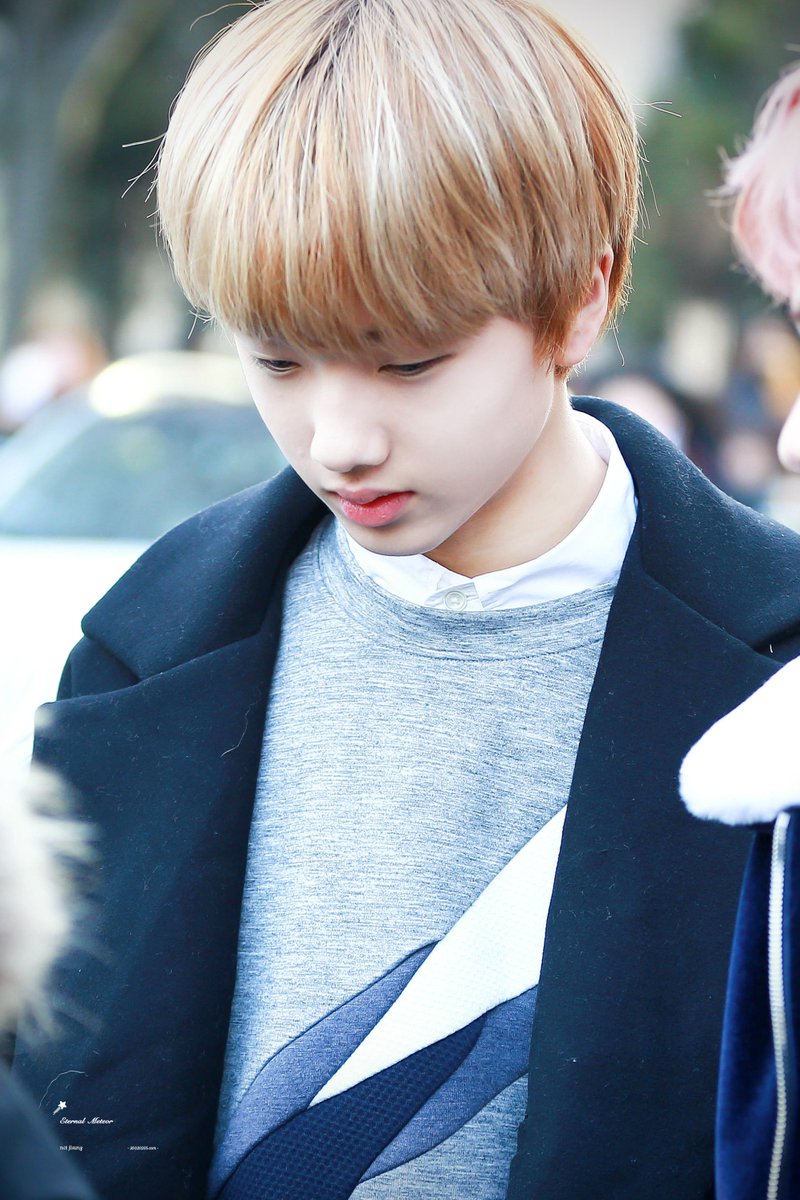 이터널미티어 ^🐤^ tweet media