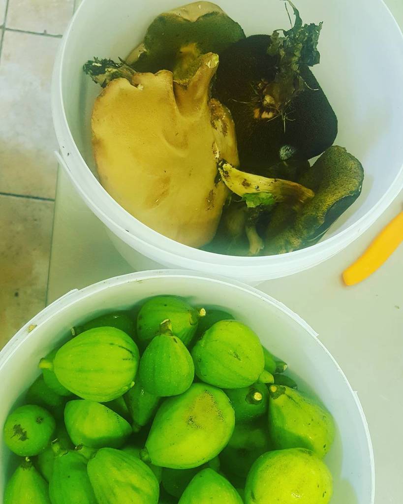 Today's #harvest ift.tt/2mGHIYt