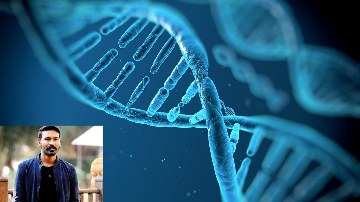 vikatan's tweet photo. தனுஷுக்கு சிக்கல் தந்திருக்கும் DNA பற்றி தெரியுமா? #HowDNAworks https://t.co/RMf8DiPP1G https://t.co/jV02xgpbct