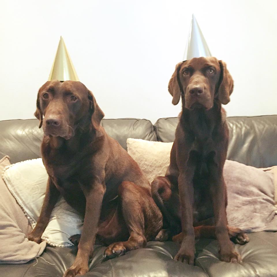 Ashley T tweet media