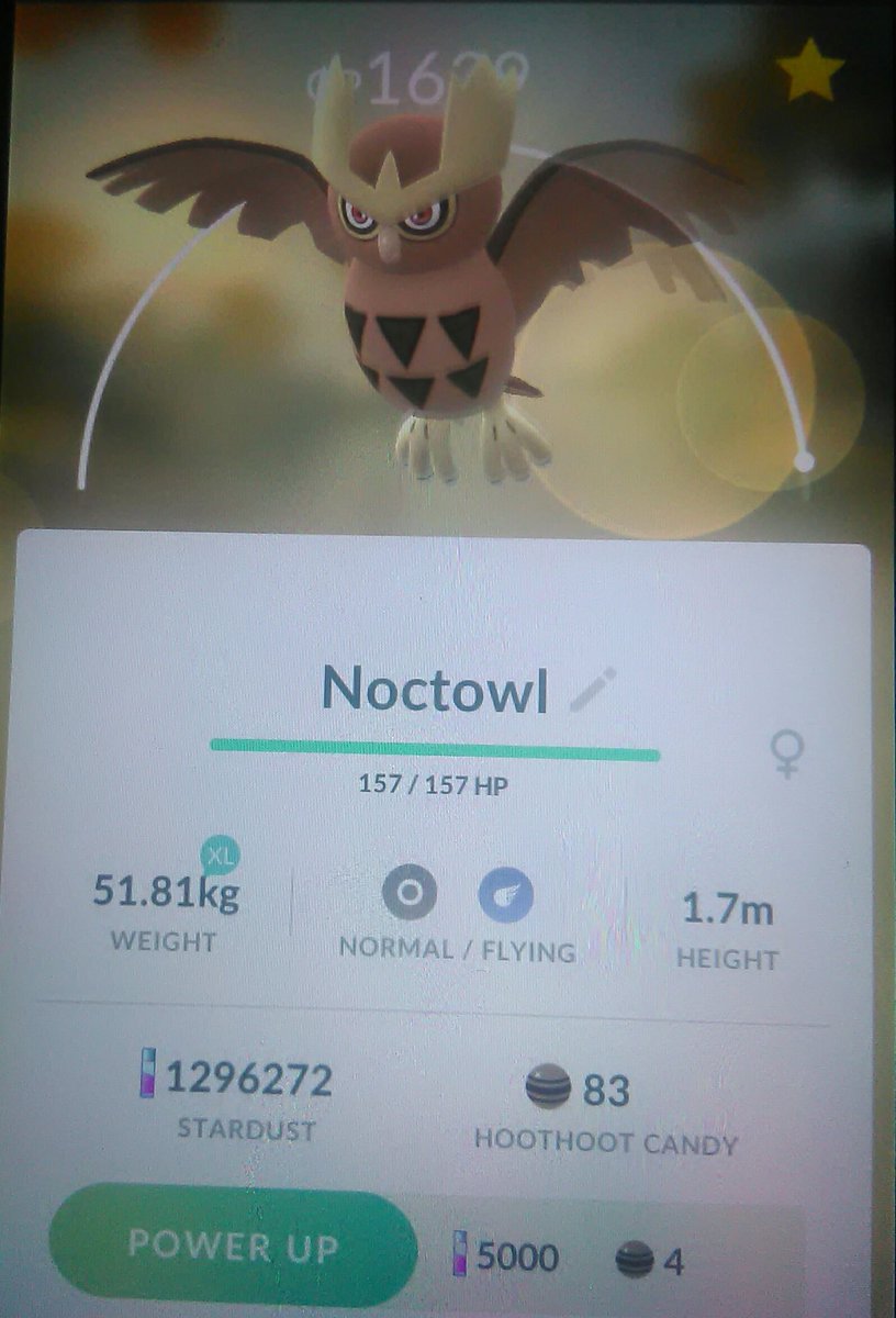 mar_gotarda's tweet photo. Nuestras bestias de ayer en #Girona Bayleef es peque pero da igual. @pokemongocat_  @SPAINPokemonGO @dondepokemongo https://t.co/0Q3F1hE9Pp