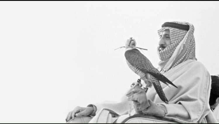 asw50900f's tweet photo. أمان الله عليه و أمان الله على طيره 
جعل ما يلوح و يكفخ في سما غيري https://t.co/ZocA4u2t7O