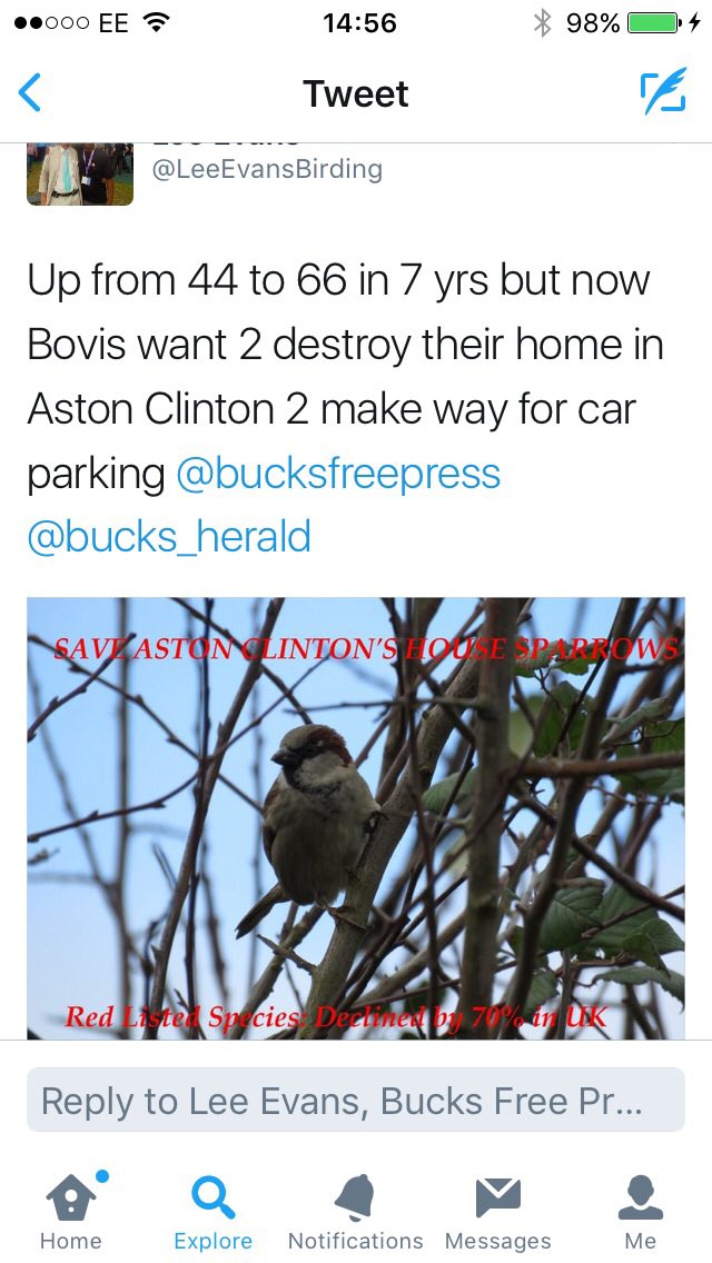 bellebumbles's tweet image. @peteswildlife habitat for the house sparrows will start being destroyed Mon am by @bovishomes #hedgegate #hedgepledge please RT
