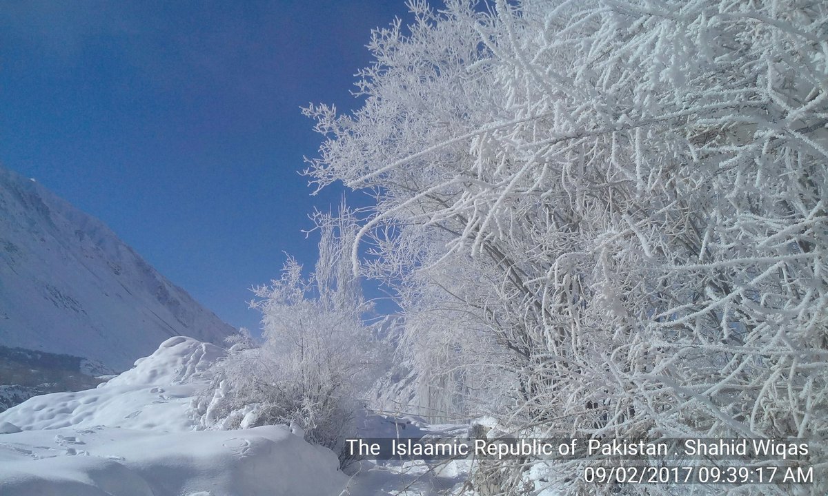 SWiqas's tweet image. The Valley of Mastuj is still Covered with snow.