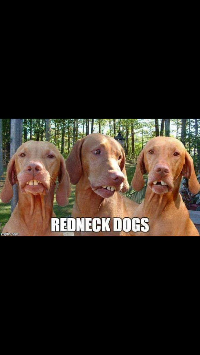 DigitalMicCheck's tweet image. 