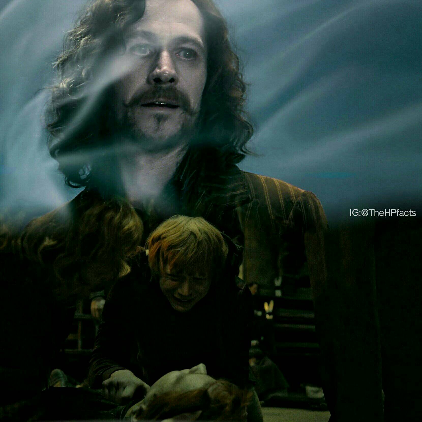 Dehow Did Sirius Die - k45oo50