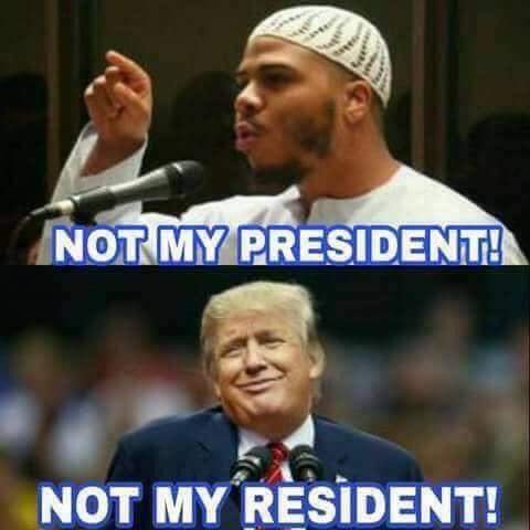 C6K-tzzWcAAXxDs.jpg:small