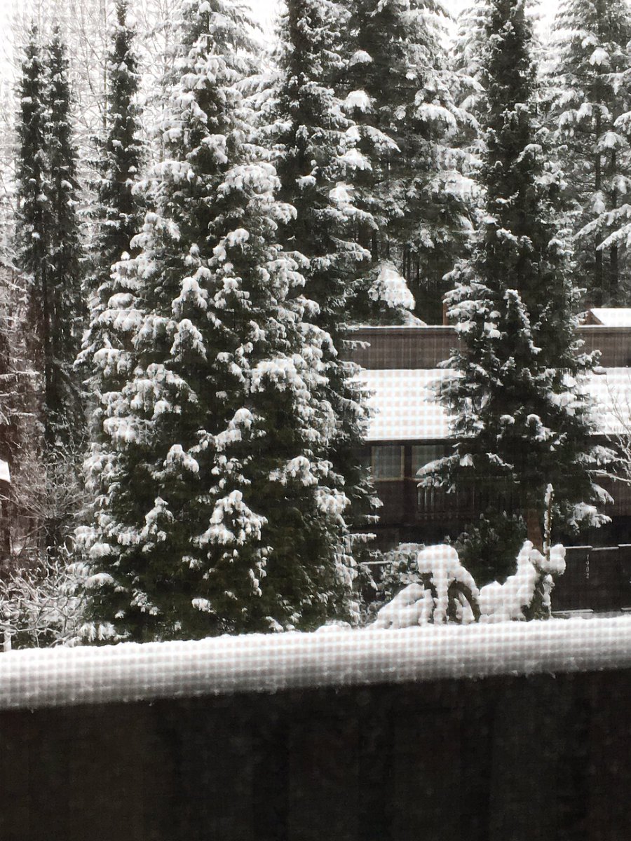 rubythebt's tweet image. Uhhhhh. Again?