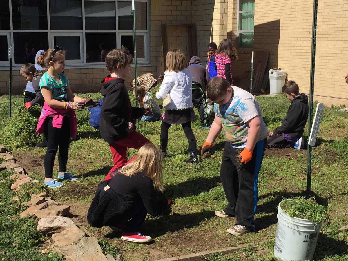 ShaylaBHarris's tweet photo. A great day of weeding and observing our school garden! #naturelovers #futuregreenthumbs https://t.co/qmTMC57fzZ