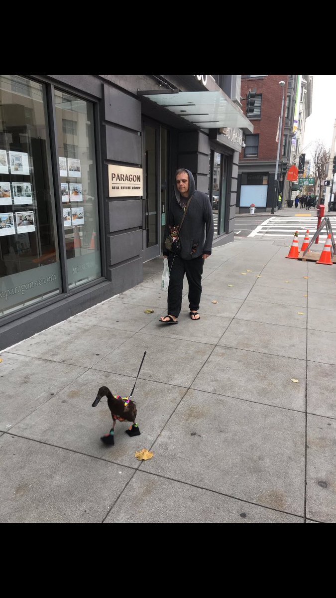 CrackHeadVids's tweet photo. Crackheads can get anything on a leash https://t.co/3b1V0g7lbH