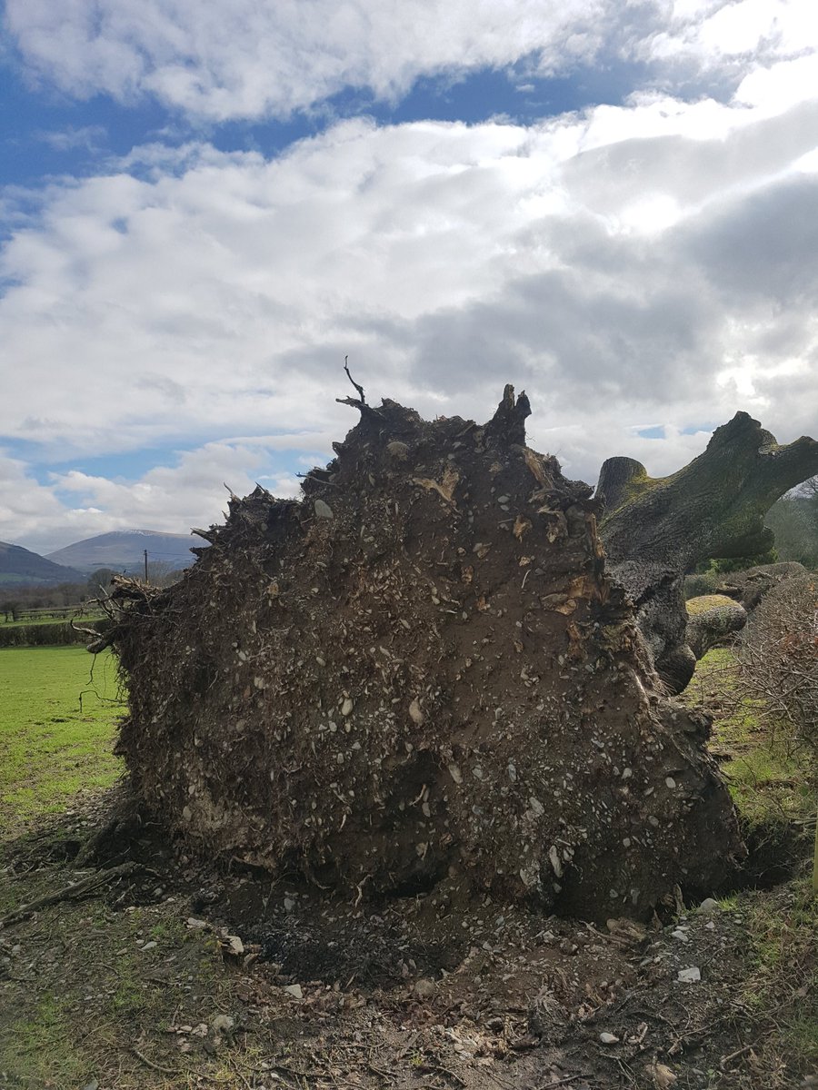 RobSteelDCHS's tweet image. Wonder whether it's Doris or Ewan we can blame for this... #StormDoris #StormEwan #Cumbria #LakeDistrict