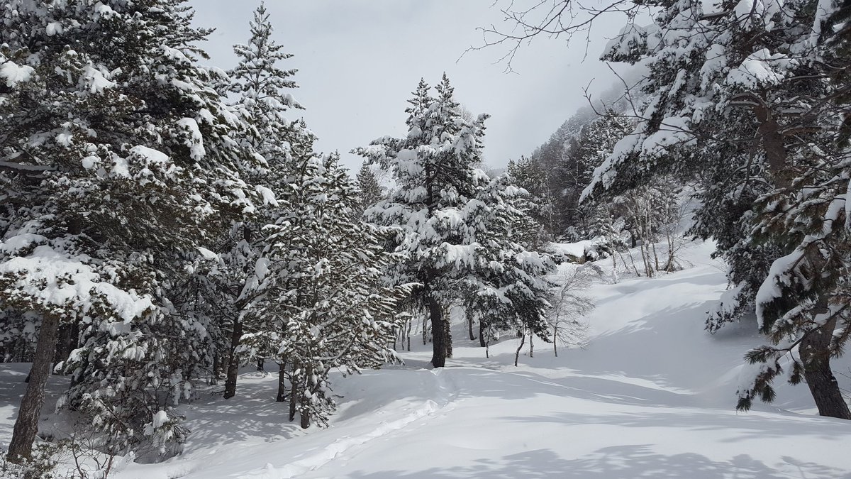 elisabetroch's tweet photo. Boniques postals d'#hivern després de dos dies amb #neu #valldesorteny #Andorra https://t.co/vTalq5f9SH