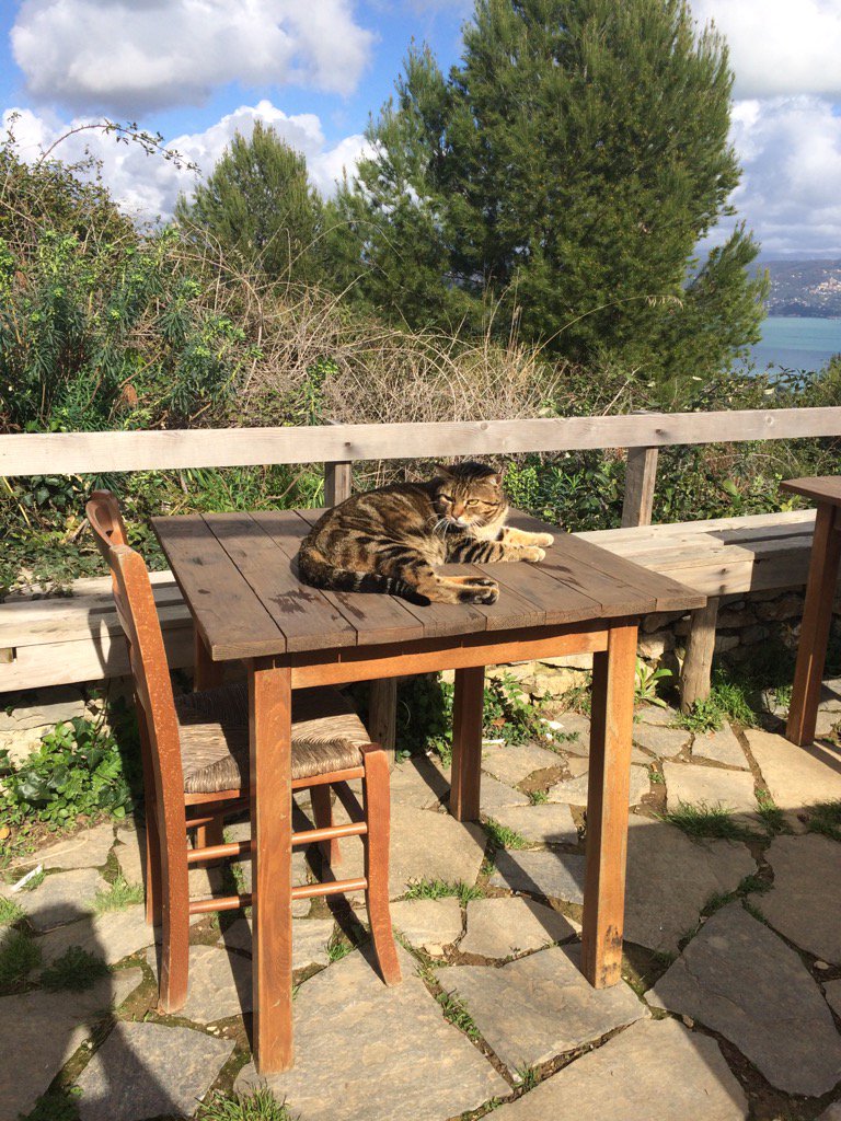 mbonati63's tweet photo. Ci si può reincarnare? #muzzerone @CAILaSpezia https://t.co/3XItGLnyvO