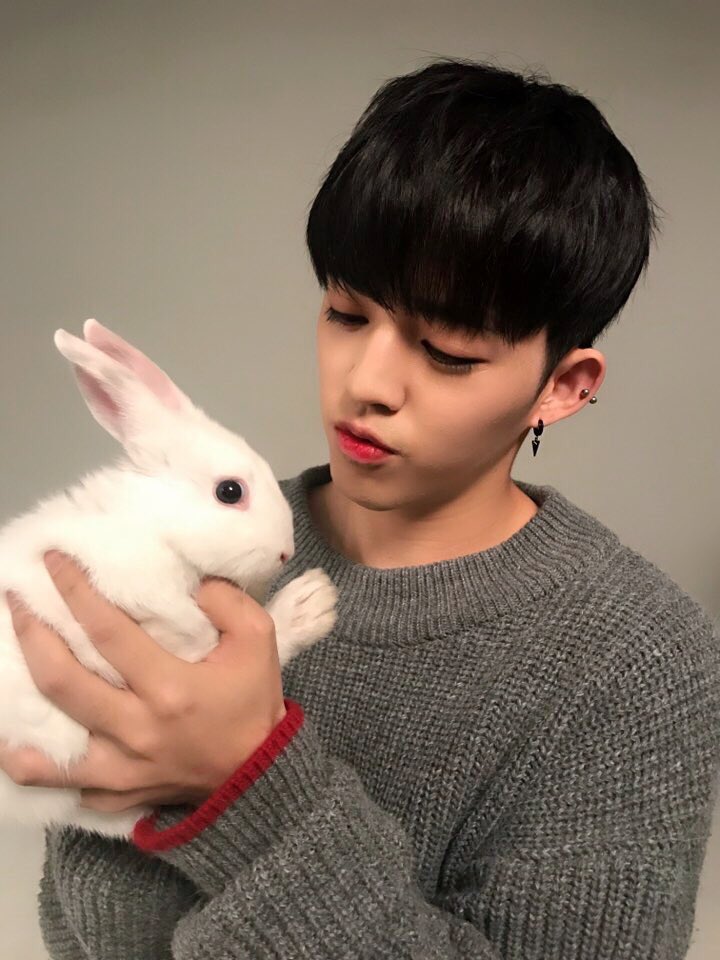 LeeChans_Noona's tweet photo. tosun upgraded with coups 😅 https://t.co/mpQLywcxJG