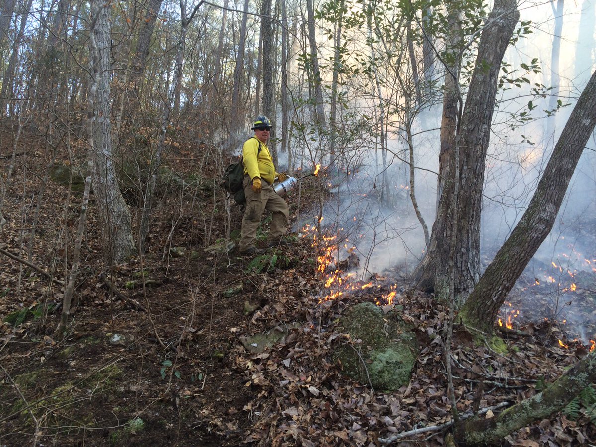 USFWSFire's tweet image. #USFWS firefighters plan to conduct a 163 acre prescribed fire today at Cahaba River NWR #rxfire #ALfire #GoodFires 🔥